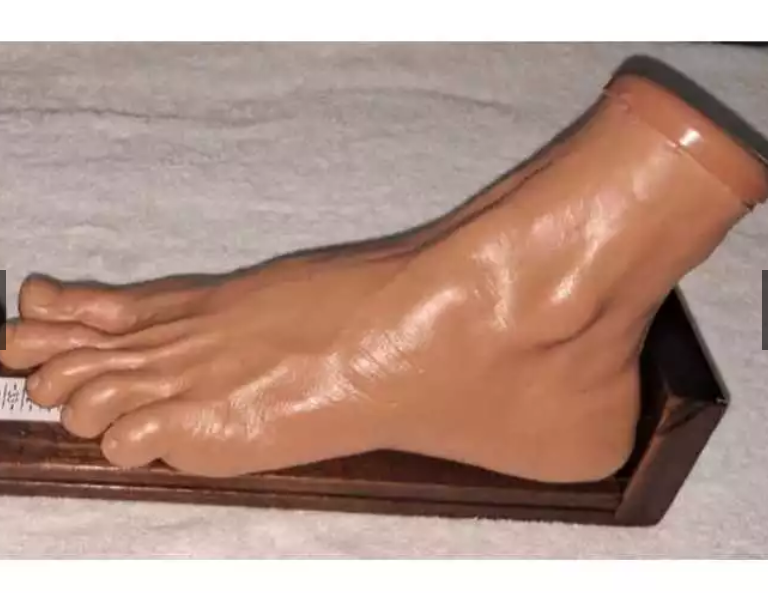 Pé de Viníl para Demonstração, Treinamento, Aula e Decoração - Original Alta Qualidade - Podologia e Podólogos