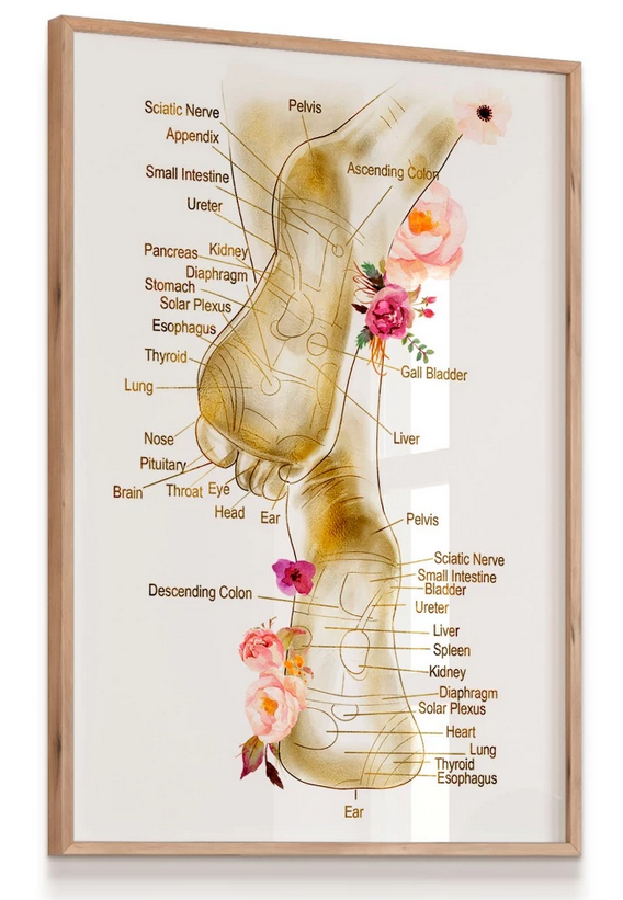 Quadro Decorativo Reflexologia Podal Podologia Massagem Pés